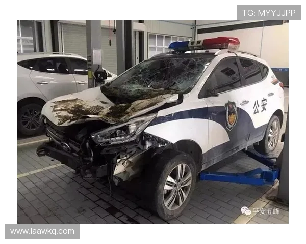 10大壕警车，砸了多少罪犯的饭碗？